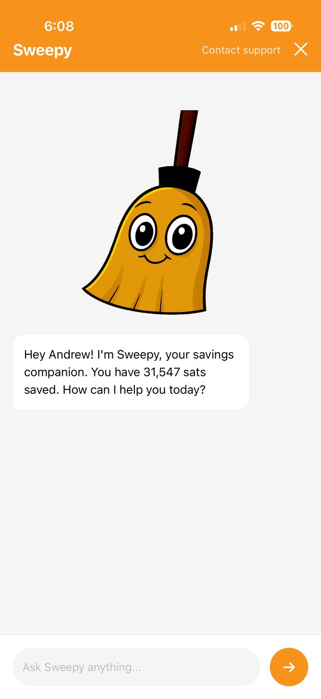 Tela de conversa com o Sweepy
